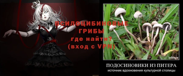 соль курить ск Алексин